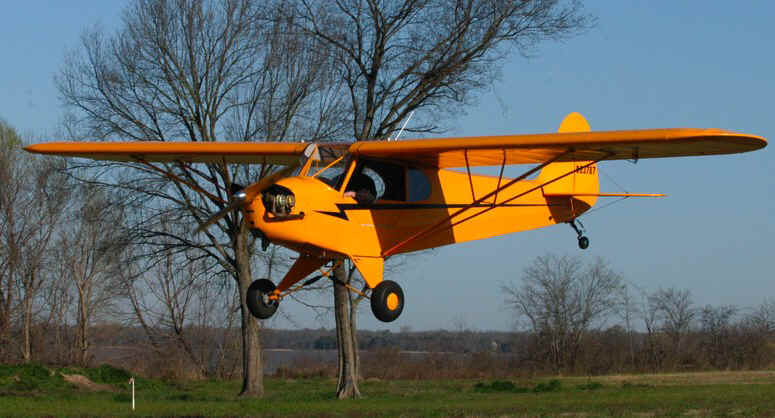 American Legend AL3C-100 Cub light sport aircraft