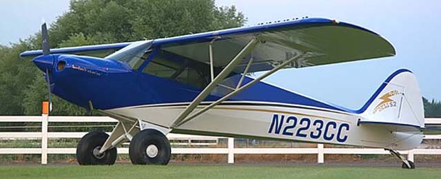 Cub Crafters CC11-100 Sport Cub light sport aircraft